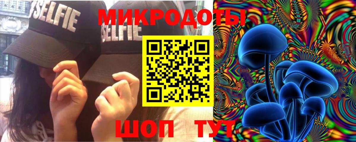 Галлюциногенные грибы прущие грибы  Вход с VPN  Гусь-Хрустальный  Галлюциногенные грибы Psilocybine cubensis 